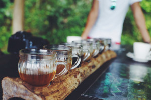 Kopi luwak tasting in Bali