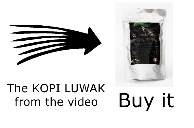 buy Kopi Luwak from the video - most expensive coffee